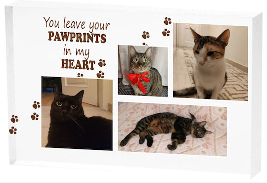 Κορνίζα Plexi Glass Cat Lover Κορνίζα Plexi Glass Cat Lover