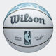 Wilson 2024 Basket Ball