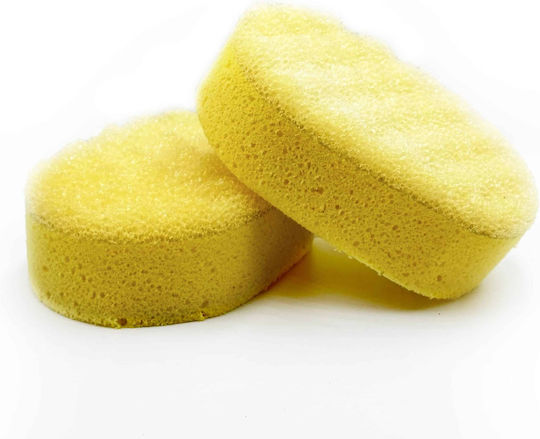 Σφουγγάρι Καθημερινής Χρήσης 2σε1 2in1 Family Sponge