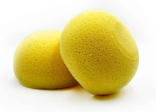 Ultra Soft Daily Use Family Sponge