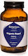 Botanica Organic Nopal 1.6gr 120 φυτικές κάψουλες 60 κάψουλες