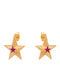 Σκουλαρικια Rising Star Magenta