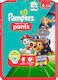 Pampers Diaper Pants Baby Dry Paw Patrol No. 6 for 14-19kg 19pcs