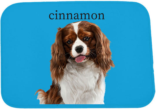 Πατάκι Φωτογραφία Εσωτερικού Χώρου Cinnamon