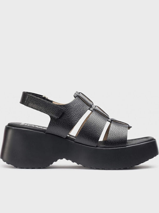Platforme Dama Negre