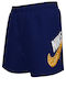 Nike 4" Volley Kids Swimwear Swim Shorts Blue