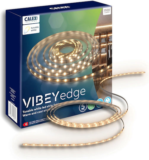 Calex Bandă LED Bianco reglabil Lumină 5m