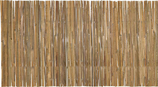 General Trade Бамбукова Изделие с Целият Рийд 2x3м 53328020 General Trade Бамбукова Изделие с Целият Рийд 2x3м 53328020