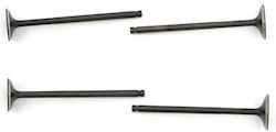 Naraku Einlass- und Auslassventilsatz Nk600.84 Yamaha Yp R 06-16 Beta Rr Lc Rieju Rs3 11-17 125 Abs Fantic M 18-20 Naraku Einlass- und Auslassventilsatz Nk600.84 Yamaha Yp R 06-16 Beta Rr Lc Rieju Rs3 11-17 125 Abs Fantic M 18-20