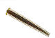 Berkley Powerbait Saltwater #002