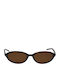 Chimi Ellipse Woman Sunglasses with Brown Tartaruga Horn-Rimmed Frame and Brown Lens ELLIPSE-TORTOISE-55