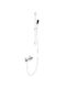 Acp Shower Column with Digital Temperature Display & Mechanical Buttons – White