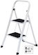 Benson Ladder Aluminum with 2 Steps