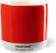 Pantone Ποτήρι Θερμός 220ml Orange