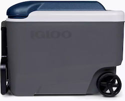 Igloo Преносим хладилник 38лт Екрю