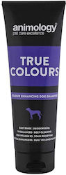 Șampon Animology True Colours 250ml – Șampon pentru Blană Întunecată și Intensă