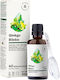 Aura Herbals Ginkgo Biloba Liquid Extract 50:1 45мг 50мл