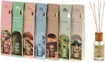 TnS Diffuser 12Stück 50ml