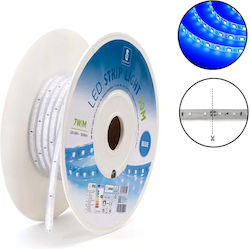 Aigostar Αδιάβροχη Ταινία LED 220V Μπλε 50m Aigostar Αδιάβροχη Ταινία LED 220V Μπλε 50m