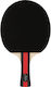 Ρακέτα Ping Pong Fz Forza Amaze Tt 4-star****