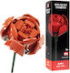 Nice Group Τουβλάκια Rose Flower για 6+ Ετών 81τμχ