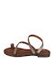 Women's Flat Sandals in Brown Color