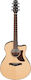 Ibanez Aam300ce-nt