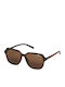 Superdry Men's Sunglasses with Brown Tartaruga Plastic Frame and Brown Lens W9710050A-F9X