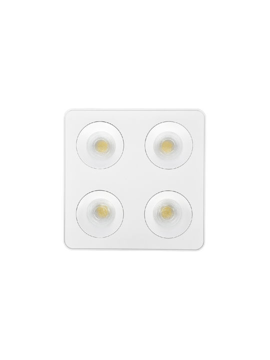 Inlight Metallic Recessed Spot with Integrated LED and Natural White Light White 1pcs