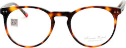 Alexander Wintsch Brown Tortoise 20192 Alexander Wintsch Brown Tortoise 20192