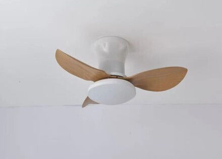 Home Lighting Ceiling Fan 65cm with White Light Fixture 77-50625