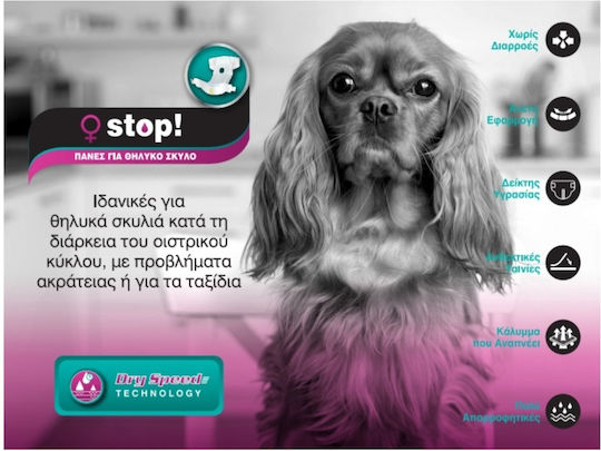 Pet Camelot Βρακάκι Σκύλου για Ακράτεια Large 12τμχ