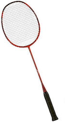 Vixen Badminton Racket