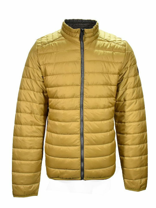 Calamar Geci Barbati Puffer Culoare Galben