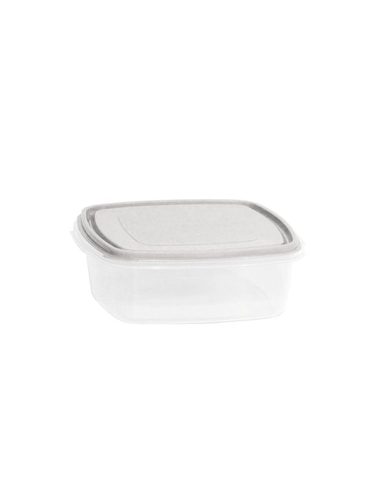 Viomes Microwave Plastic Lunch Box Gray 20x20cm