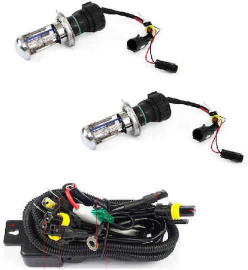 Carner Lamps Car & Motorcycle H4 Xenon 8000K Cold White 24V 35W 3pcs