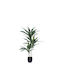 Dracaena Tree Green Real Touch Pot H95cm 6/box 04-10089 18821