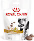 Royal Canin Leckerli für Hunde mit Geflügel 230gr