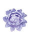 Hanging Lilac Lotus Flower Giant Φ70x28cm 6/box 00-23858-70-3