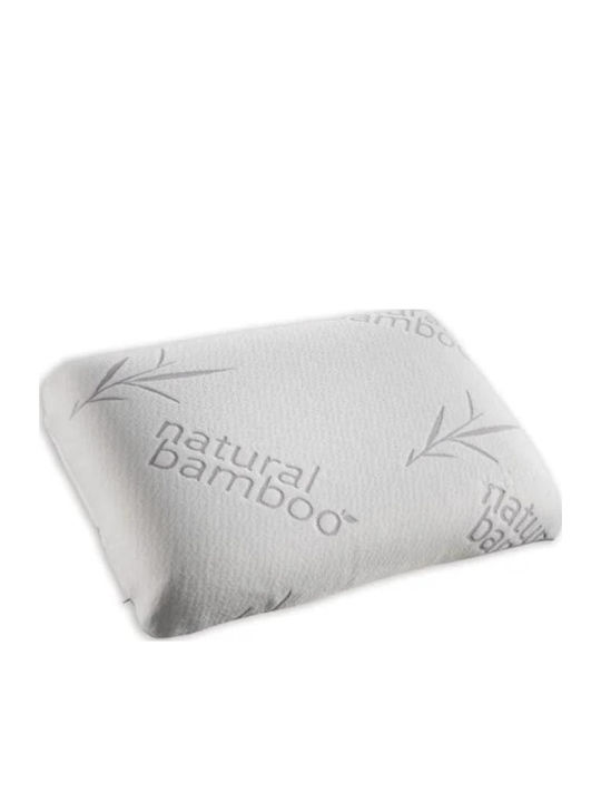 Guy Laroche Aloe Vera Μαξιλάρι Ύπνου Memory Foam Ανατομικό 40x60x12cm