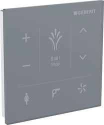 Geberit Dual-Flush Cistern Plate