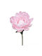 XL Decorative Large Pink Water Lily Flower 160x70cm 00-23856-70-1
