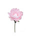 XL Decorative Large Pink Water Lily Flower 130x60cm 00-23856-60-1
