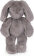 Moulin Roty Λούτρινο Λαγουδάκι για Νεογέννητα 32 εκ.