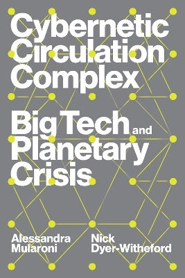 Cybernetischer Zirkulationskomplex: Big Tech und die planetare Krise Alessandra Mularoni Verso Books