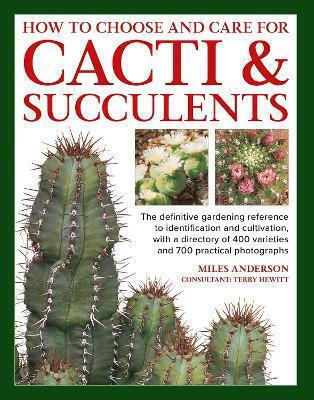 Cacti Succulents How To Choose And Care For The Definitive Gardening Reference To Identification And Cultivation With A Directory Of 400 Varieties And 700 Practical Photographs Miles Anderson 0429 Cacti Succulents How To Choose And Care For The Definitive Gardening Reference To Identification And Cultivation With A Directory Of 400 Varieties And 700 Practical Photographs Miles Anderson 0429