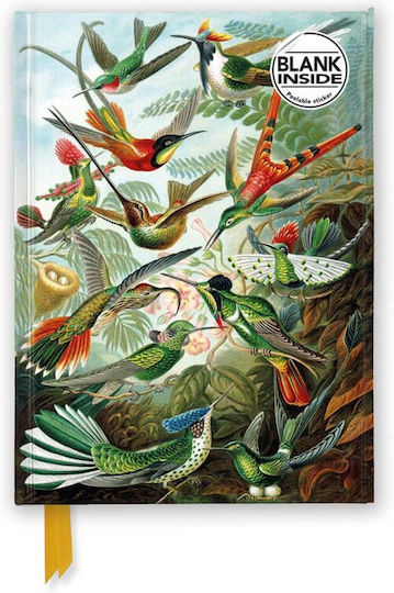 Flame Tree Flame Tree Notebook with White Pages Multicolour