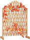 Expandable Trellis Climbing Plants Fir Wood 101.5 X 30 Cm