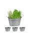 Set 4 Ghivece Decorative Cu Mânere 15.5 X 29 X 17.5 Cm