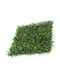 Showood Panou artificial de frunziș 50x50cm Premium